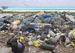 當太平洋垃圾遇上利菲爾特垃圾分選設備！