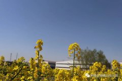 疫情已經(jīng)得到控制歡迎寧夏現(xiàn)場(chǎng)合伙人來訪鋁塑煉油設(shè)備